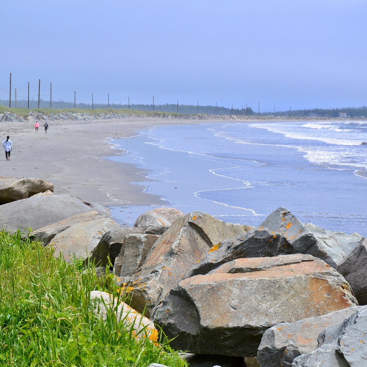 is crescent beach dog friendly