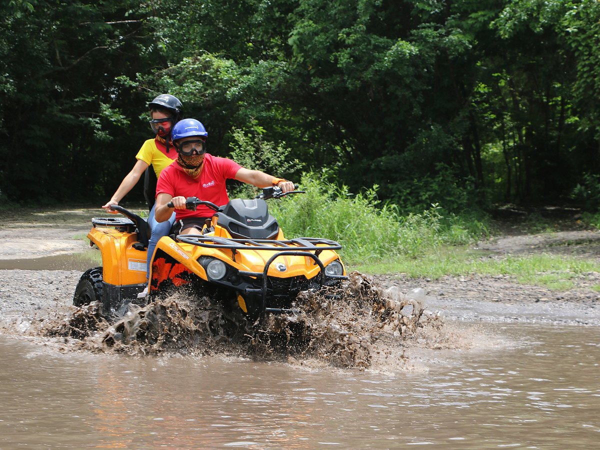 Wild Tours (Cozumel) - All You Need to Know BEFORE You Go