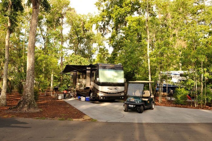 The Campsites at Disney's Fort Wilderness Resort Shuttle Bus Service ...