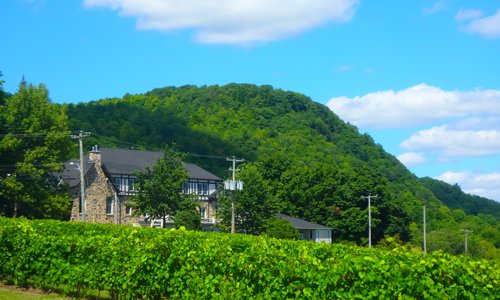 vue