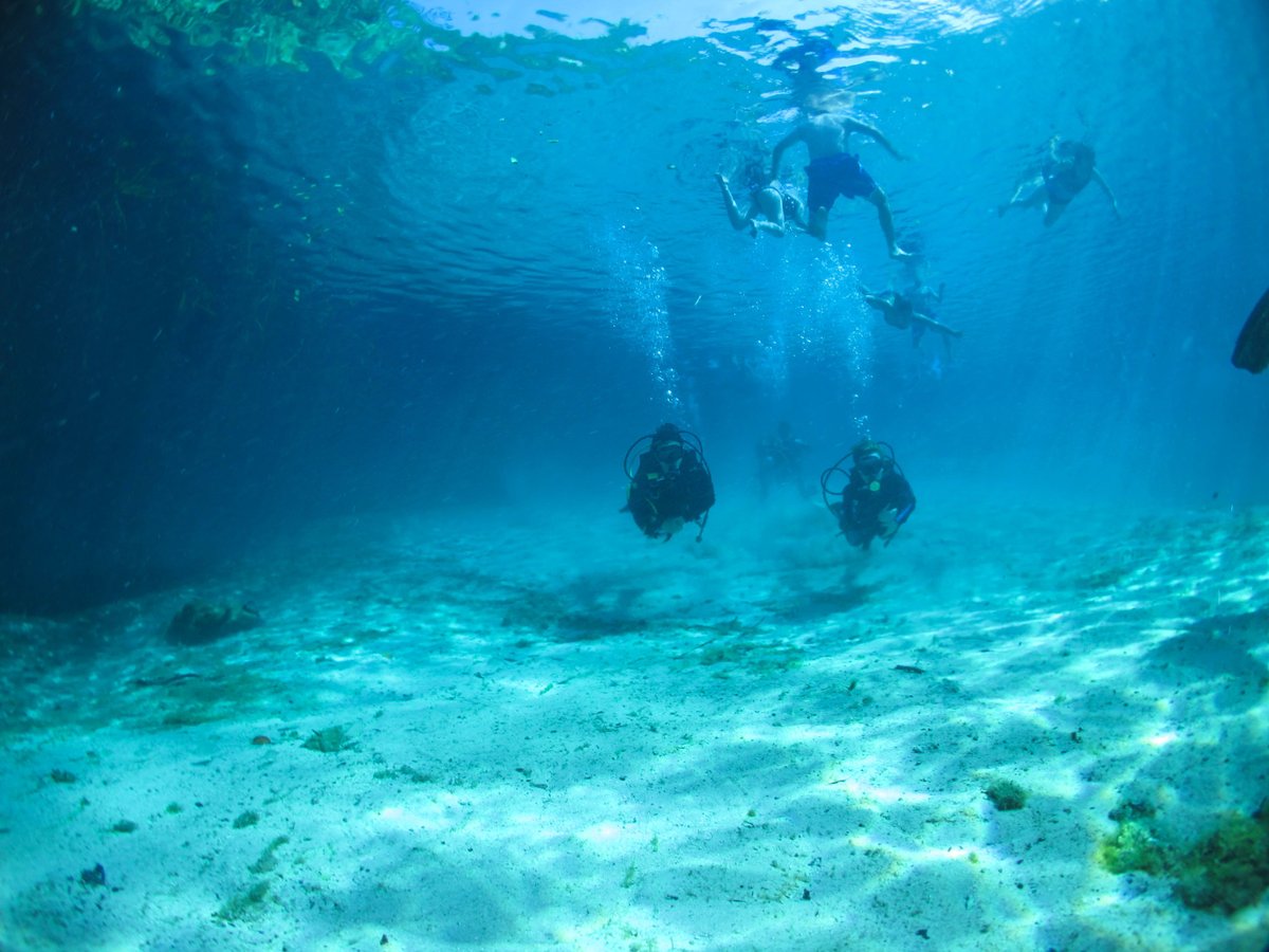 manati divers tulum