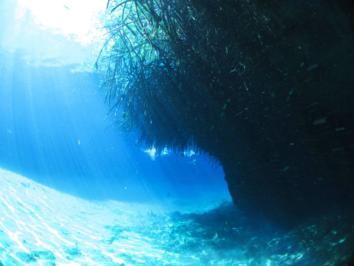 manati divers tulum