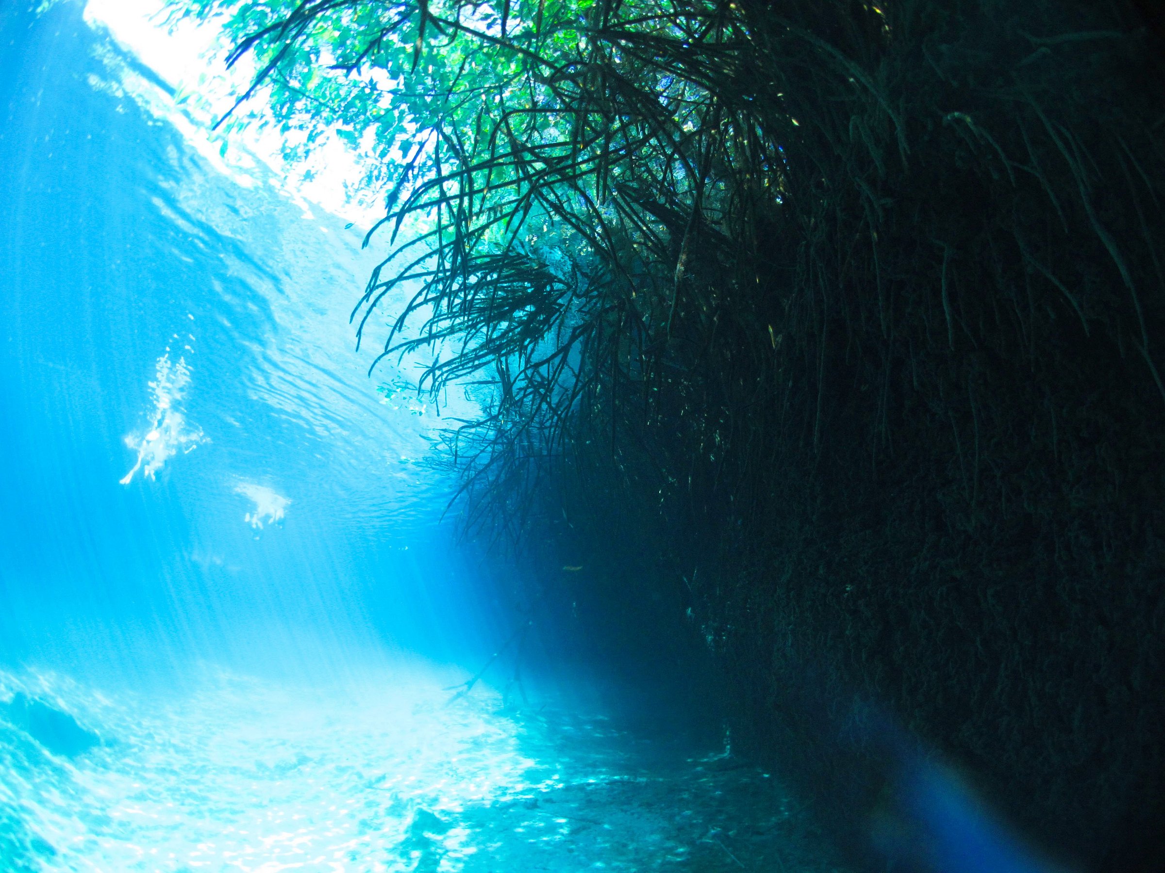 manati divers tulum