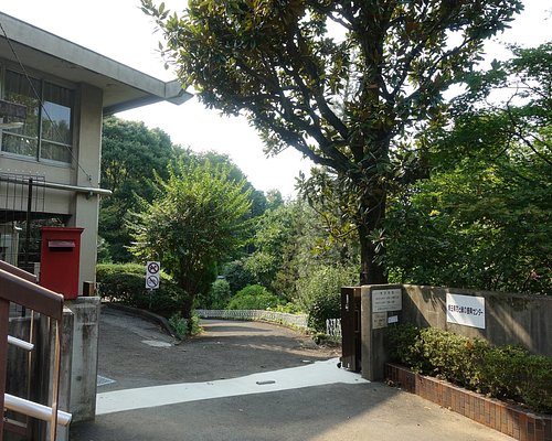 川口市10 大公园与自然景点 Tripadvisor 川口市10 大公园与自然景点 Tripadvisor