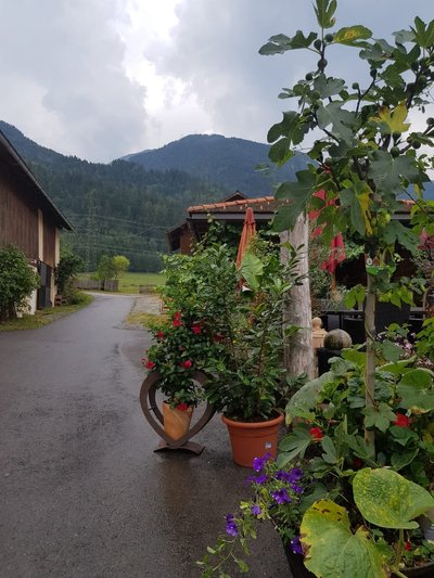 Hotel photo 4 of Gasthof Pension Michal.