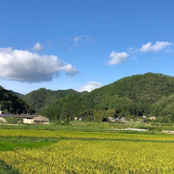2025년 Nantan 베스트 목장 펜션 추천 - Tripadvisor