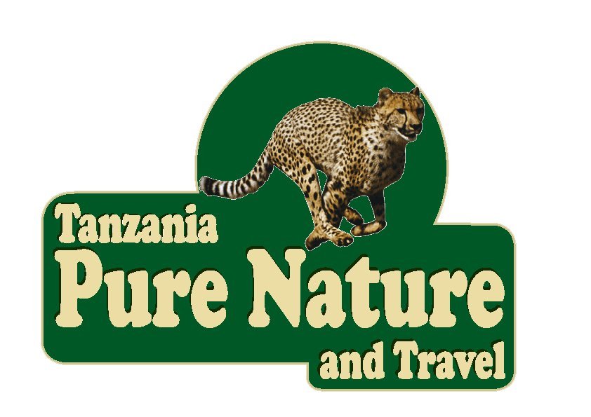 Tanzania Pure Nature and Travel - All You Need to Know BEFORE You Go (2024)