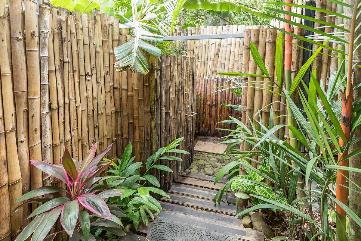 Balance and Joy at Bamboo YogaPlay - Picture of Danyasa Eco-Retreat - Bamboo  Yoga Play Studio, Dominical - Tripadvisor