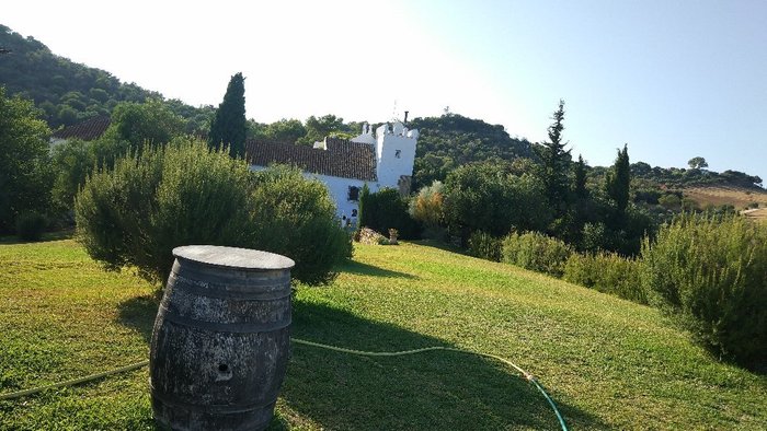 Imagen 7 de Cortijo Barranco