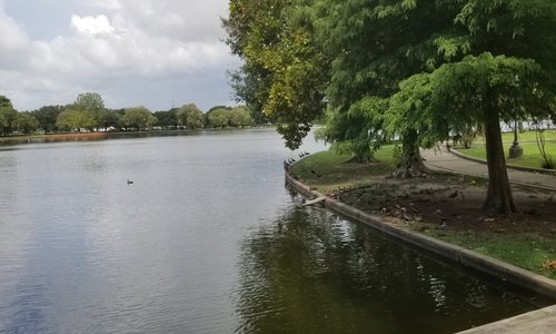 Lafreniere Park