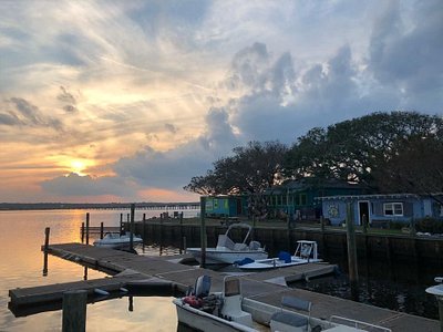 Crescent Beach Florida shells - Picture of Crescent Beach, Florida -  Tripadvisor