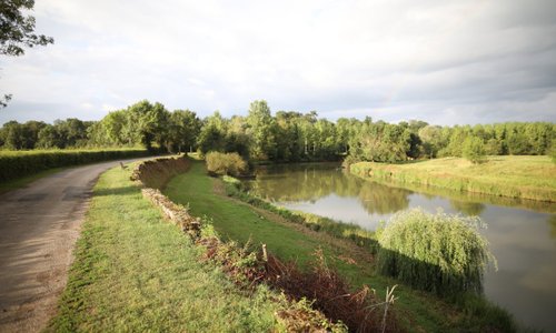 La pêche sur la Seille