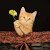 Ahmet K