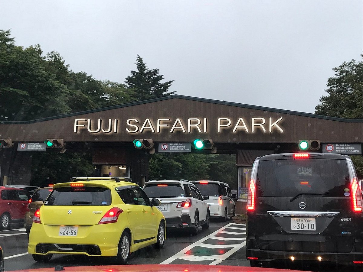 Fuji Safari Park, Susono: лучшие советы перед посещением - Tripadvisor