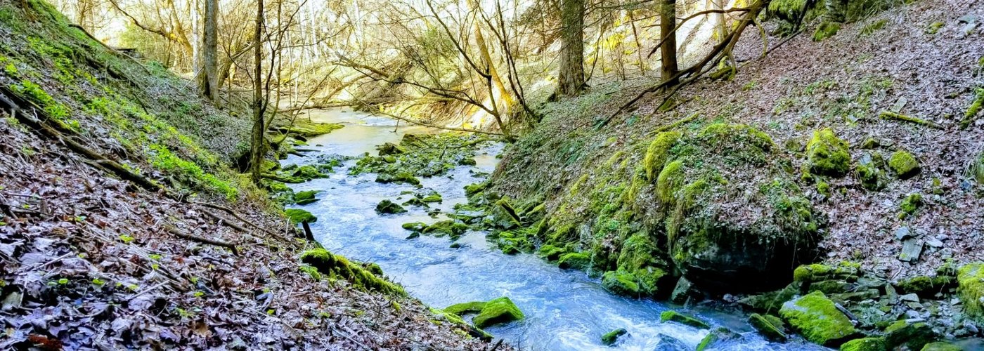 Creek coming out of cave.