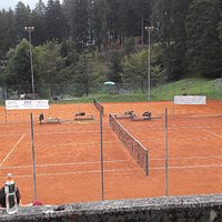 Campi in terra