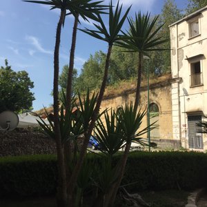 Hotel Joyfull
