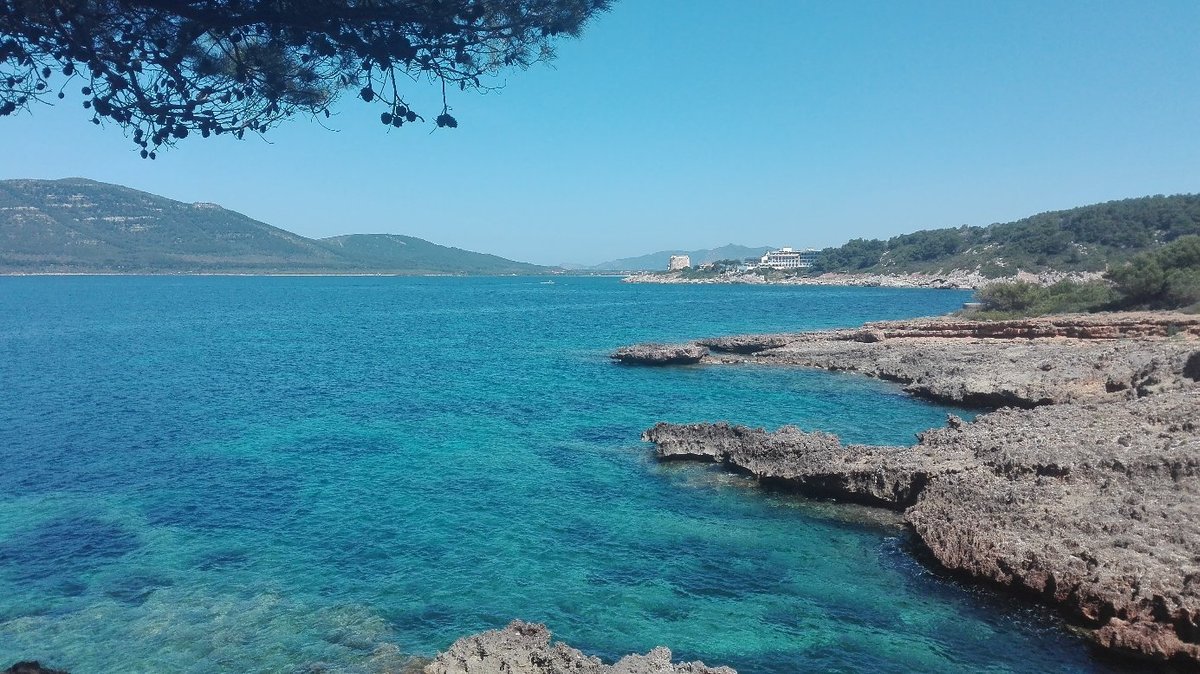 La Sassari Torres punta al grande ritorno