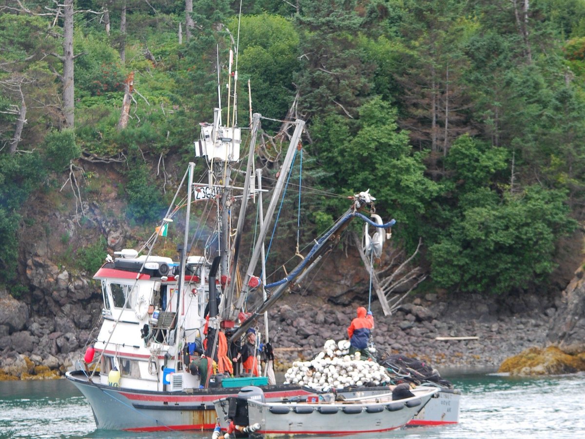 Danny J Ferry (Halibut Cove) - All You Need to Know BEFORE You Go