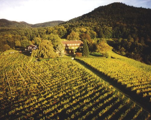 DIE BESTEN Weingüter & Weinberge in Baden-Baden - Tripadvisor