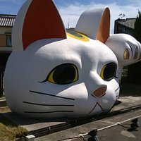 とこにゃん