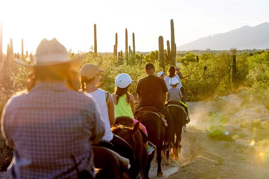 Tanque Verde Ranch's Dining Room