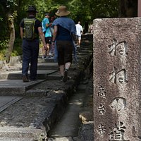 散策をするのにもいい時期になりつつあります