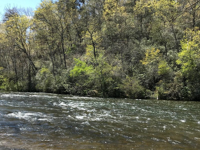 Tuckasegee, NC 2025 All You Need to Know Before You Go Tripadvisor