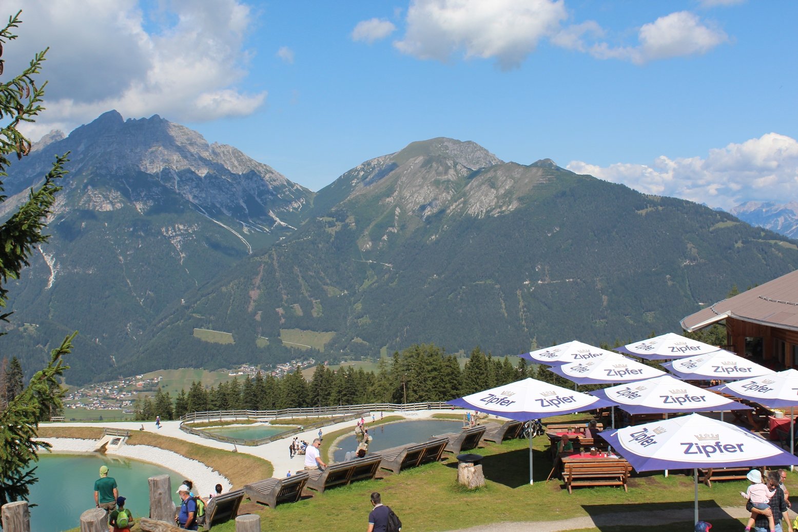 Mieders Alpine Coaster All You Need to Know BEFORE You Go 2024