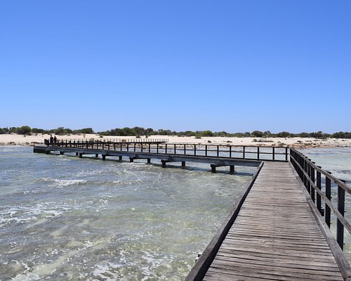 THE BEST Things to Do in Hamelin Pool - 2023 (with Photos) - Tripadvisor