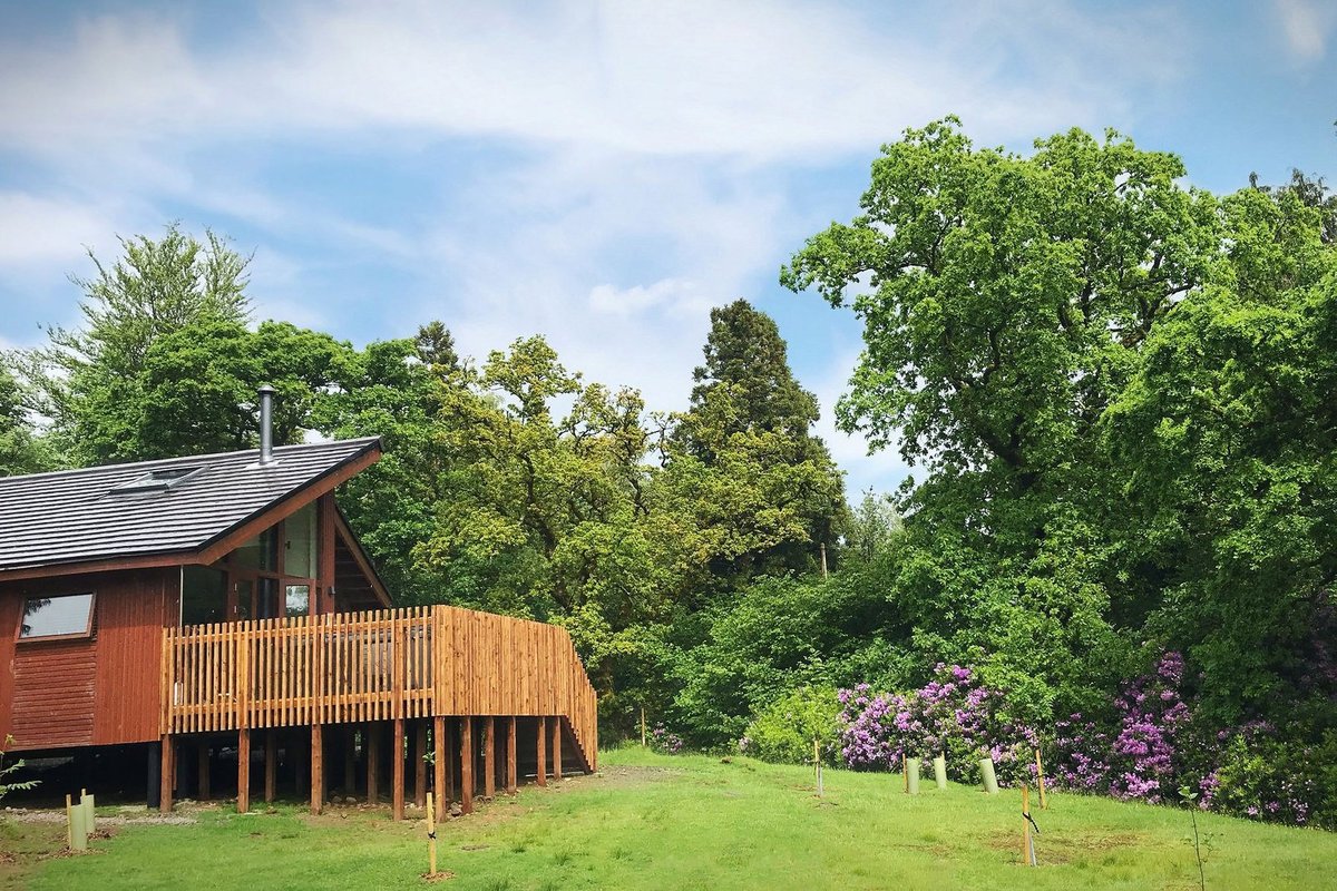 FOREST HOLIDAYS BEDDGELERT SNOWDONIA Resort (Galles) Prezzi 2022 e