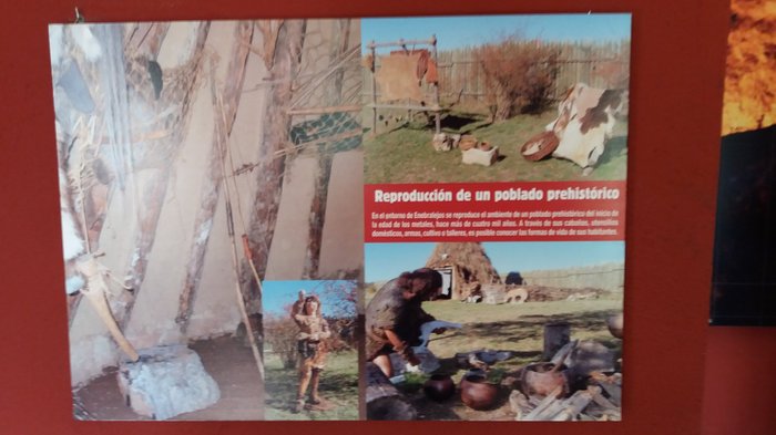 Imagen 8 de Cueva de los Enebralejos