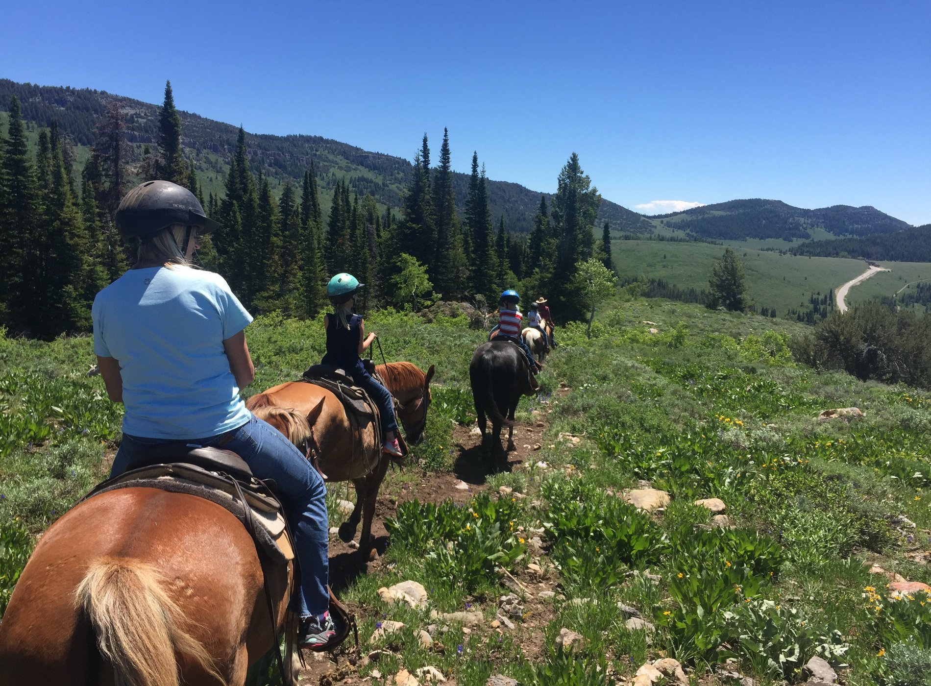 Beaver Creek Lodge by null