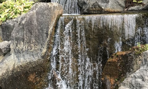 cascade