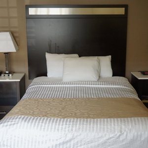 Queen Bed, Non-Smoking Room