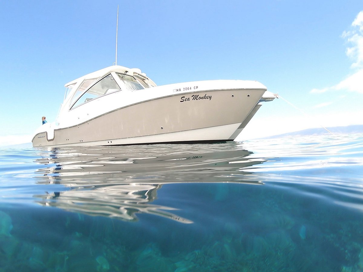 Sea Monkey Private Charters (Lahaina) All You Need to Know BEFORE You Go