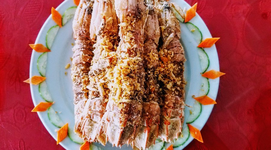 mantis prawn