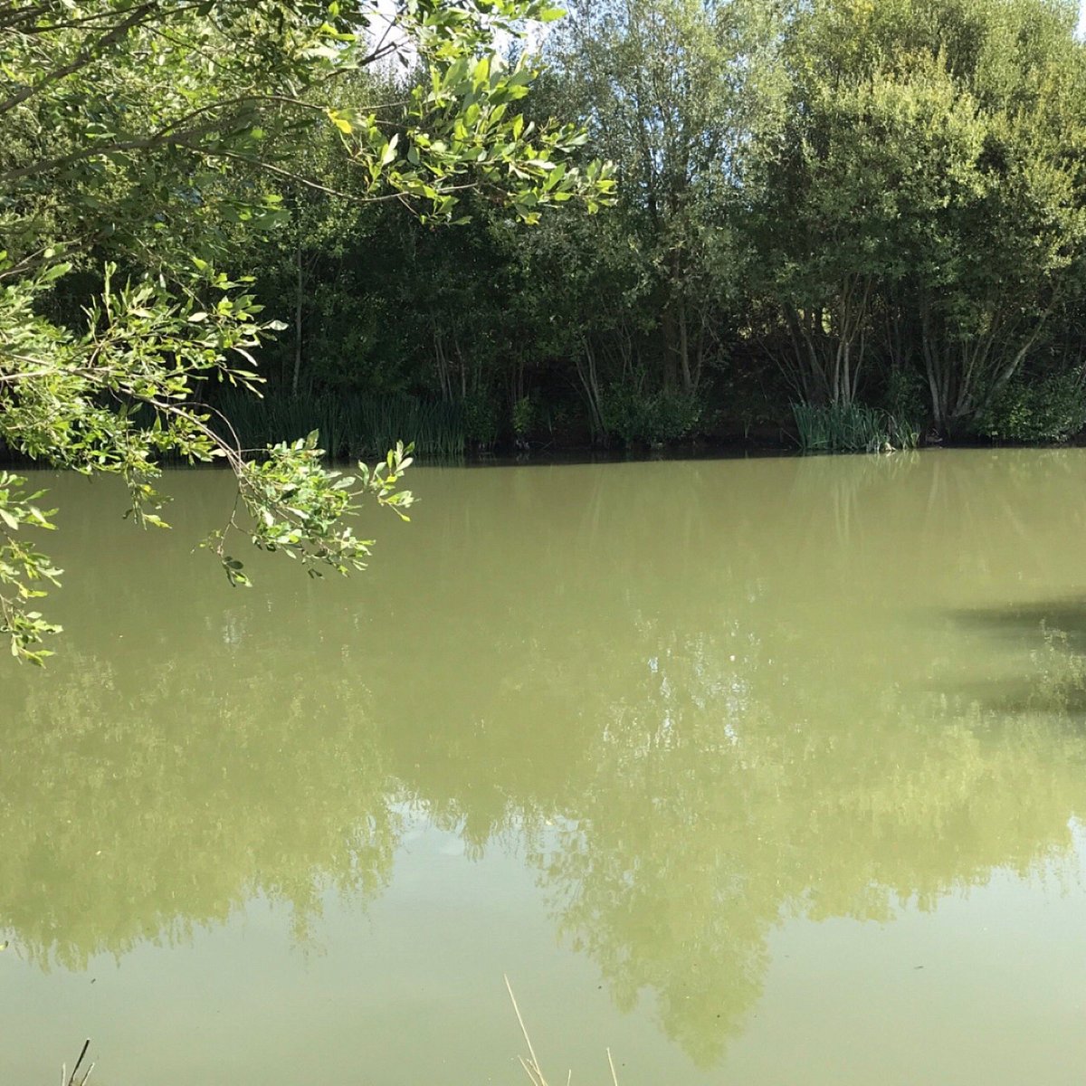 CLAYGATE LAKES (Marden) All You Need to Know BEFORE You Go