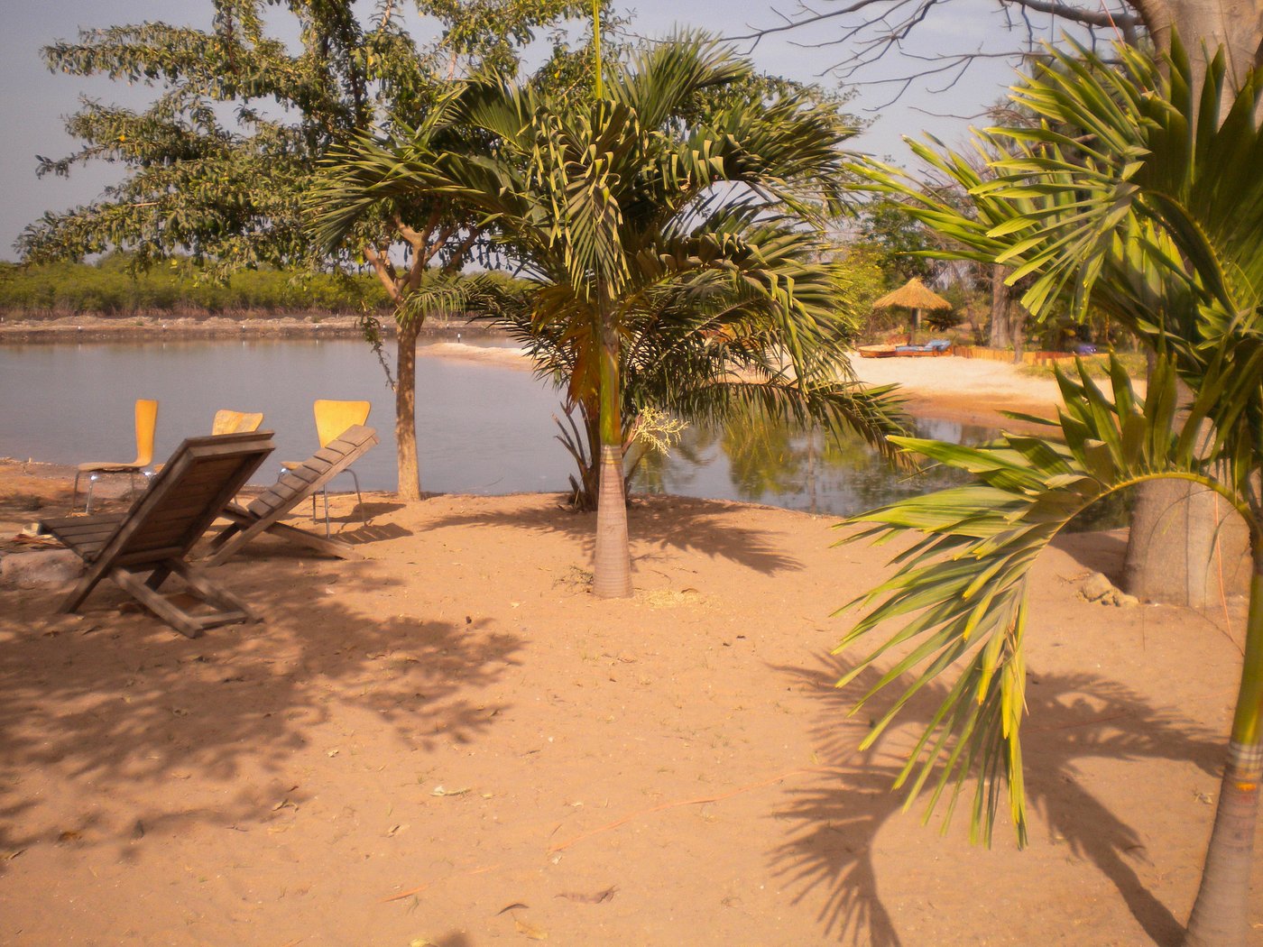Mandinari River Lodge Pool Pictures & Reviews Tripadvisor