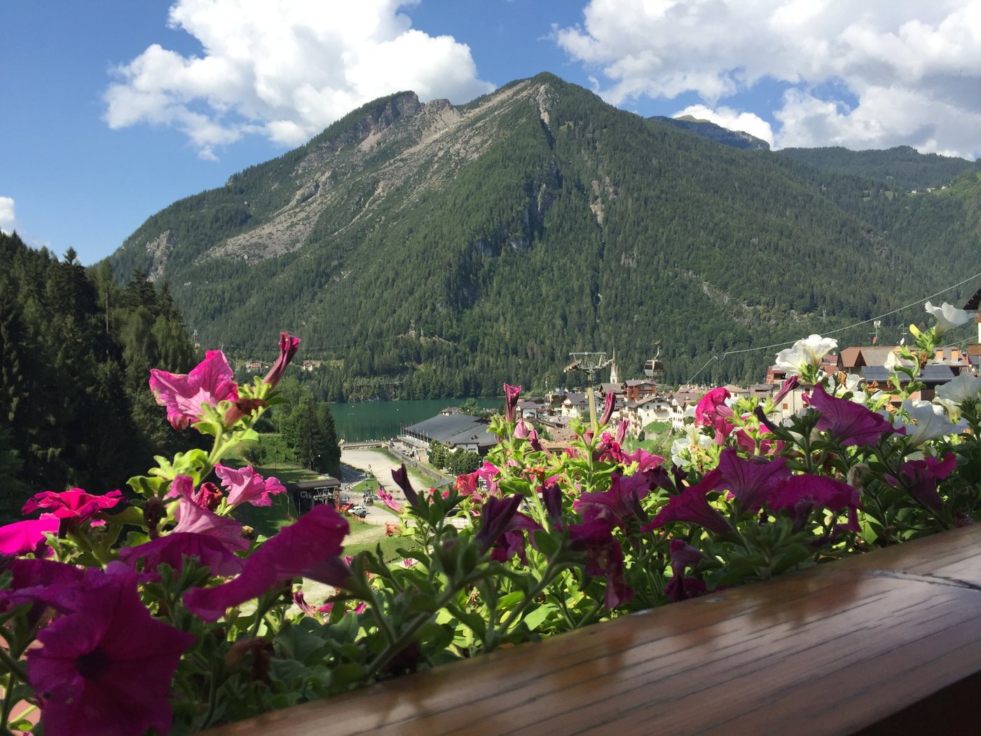 Hotel Alpenrose Dolomiti (알레게) - 호텔 리뷰 & 가격 비교