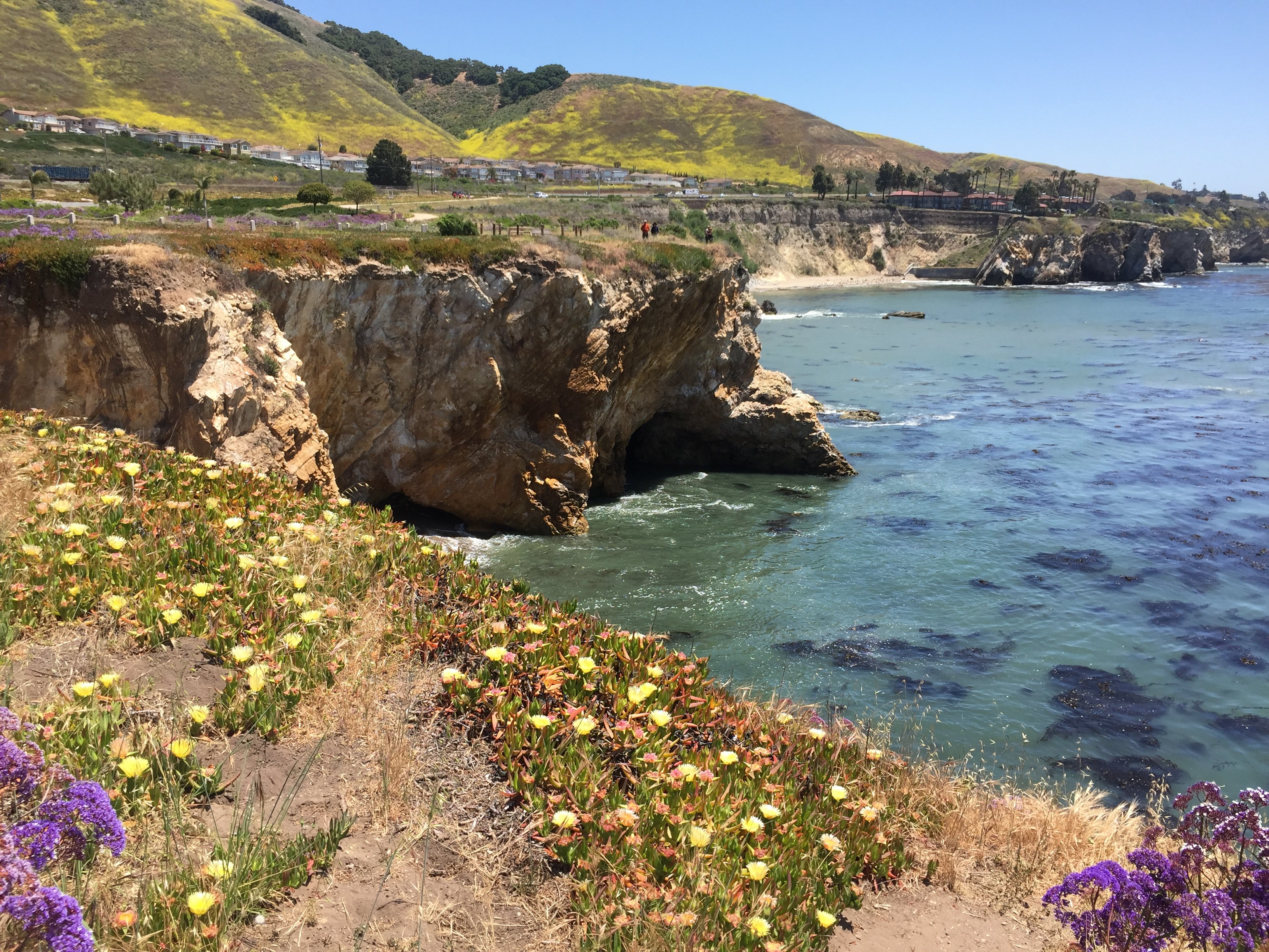 Pismo Beach Tourist Attractions: Your Ultimate Travel Guide