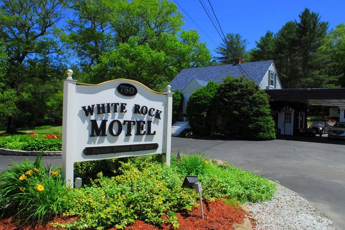 White Rock Motel image