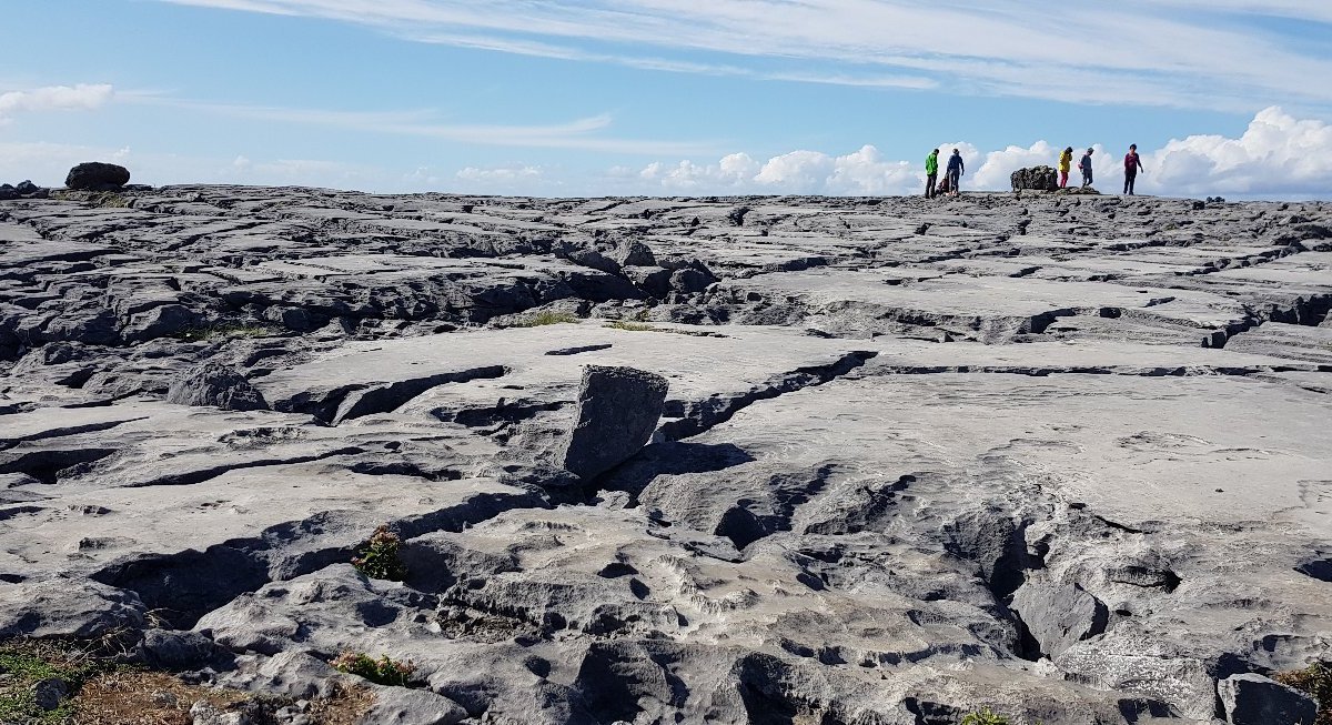 Burren Wild Tours - All You Need to Know BEFORE You Go (2024)