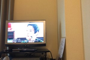 旅行者の写真
