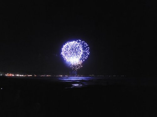 トリップアドバイザーおすすめの三浦市の花火大会トップ