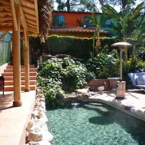 Tiki hut and pool area
