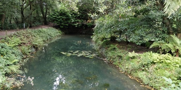 Imagen 8 de Jardín Botánico Atlántico