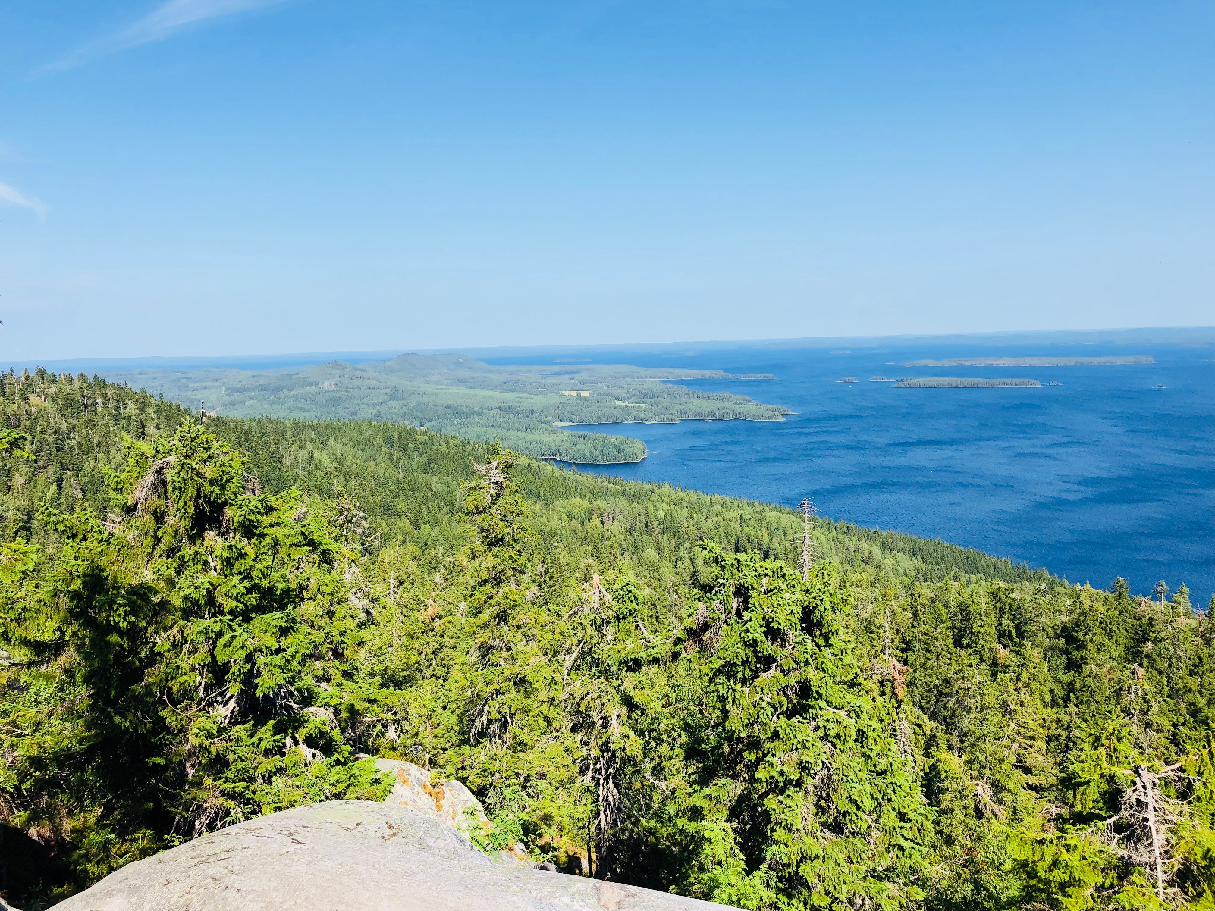 2024年 Ukko-Koli Hill - 出発前に知っておくべきことすべて - トリップアドバイザー