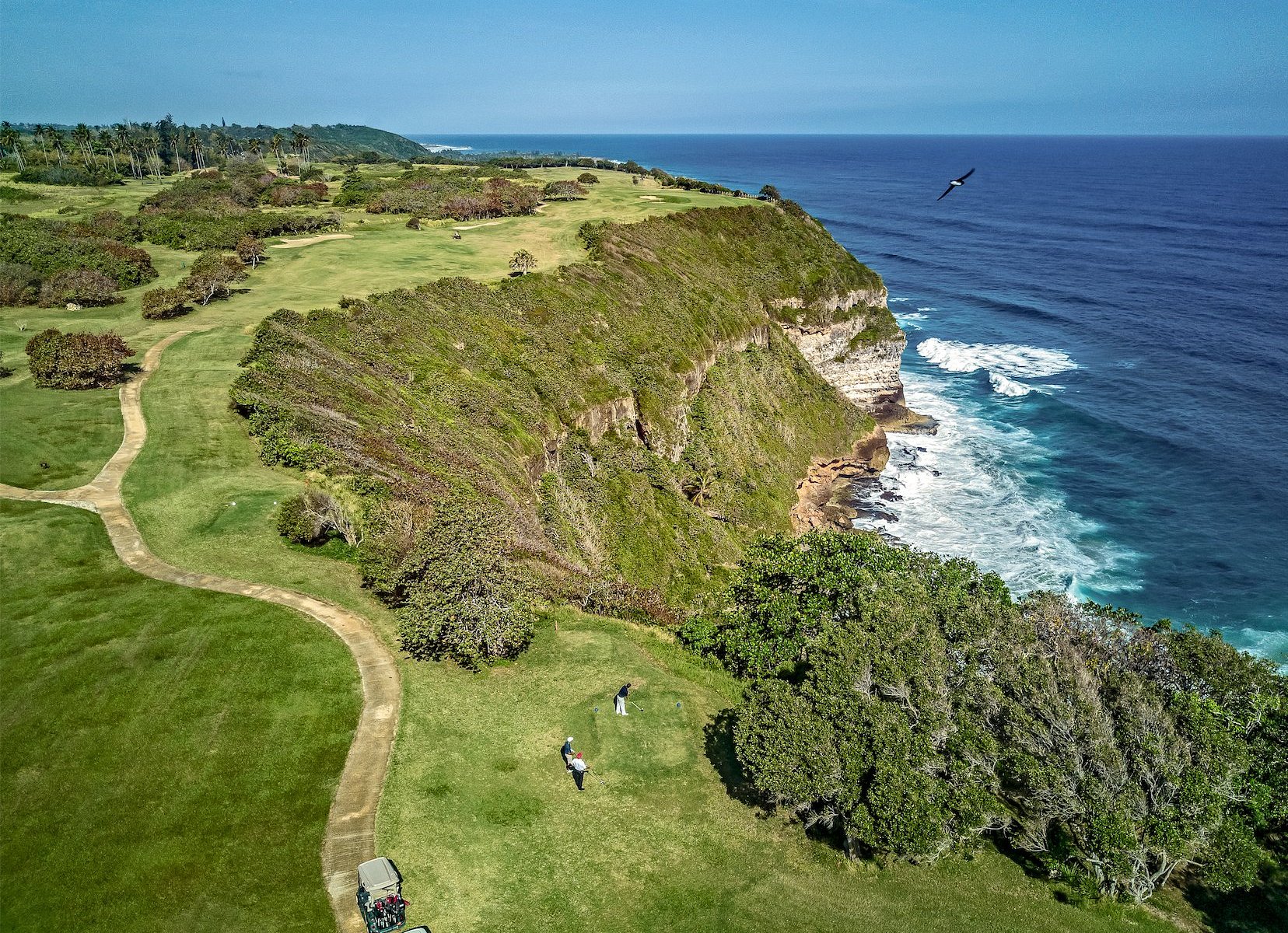 Royal Isabela by Google