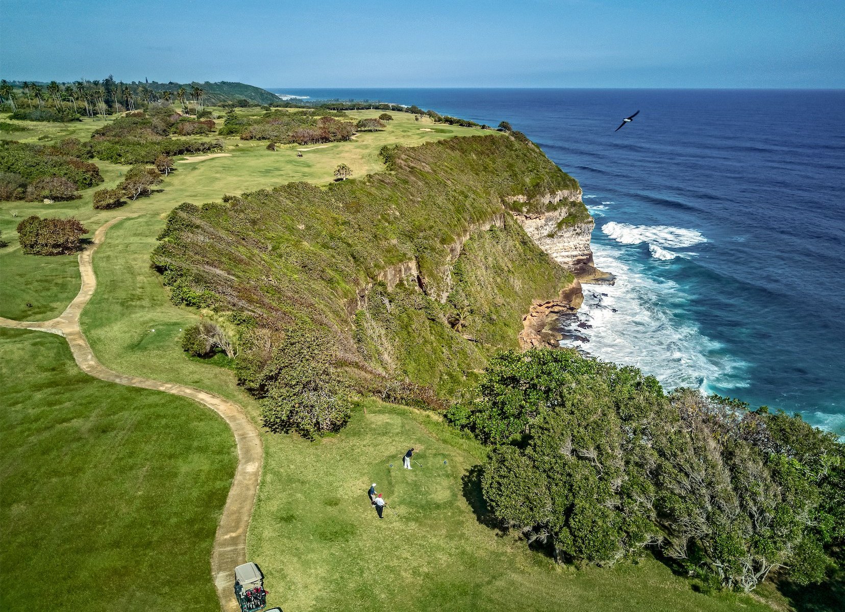 Royal Isabela by Google